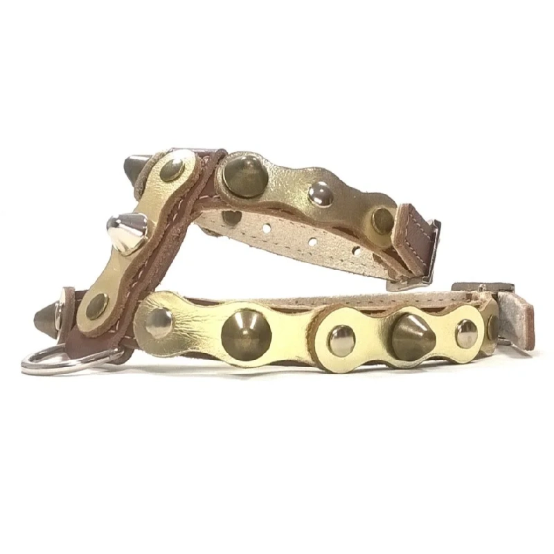 Harnais pour Chien en Cuir “Royal Luxe” Clouté (Or sur Brun) – Vue Droite Harnais en cuir doré avec clous et pointes sur base brune, vu du côté droit. L’éclat doré met en valeur un design élégant et affirmé.