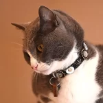Luxe leren kattenhalsband, ontwerp Moonlight, met bijpassende kattenpenning. Katmodel Nielsen toont de maan, sterren en stenen in het design.