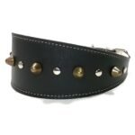 Comfortabele studded zwart of bruin lederen windhond galgo halsband met elegante oudgouden studs, design Spike