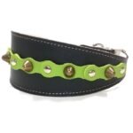 Handgemaakte comfortabele windhond galgo halsband met groene leder patches en elegante studs, design Studded