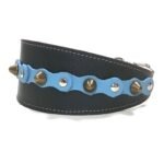 Handgemaakte comfortabele windhond galgo halsband met baby blauwe leer patches en elegante studs, design Studded