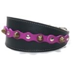 Handgemaakte comfortabele windhond galgo halsband met paarse leer patches en elegante studs, design Studded