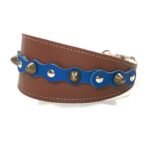 Handgemaakte comfortabele windhond galgo halsband met blauwe leer patches en elegante studs, design Studded