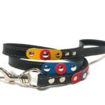 Exclusiva correa de cuero para perro FC Barcelona azul rojo grana, diseño Barça