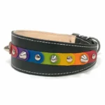 Linke Seitenansicht des handgefertigten “Rainbow Liberty” Leder‑Windhundhalsbands, bei dem leuchtende Regenbogen‑Patches auf schwarzem Leder ein lebendiges, farbenfrohes Muster bilden. Die geschwungene Form passt zur eleganten Halslinie eines Windhunds und verleiht dieselbe ausdrucksstarke, bunte Wirkung für Australian Shepherds und Zwergspitze.