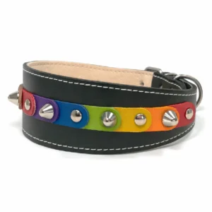 Linke Seitenansicht des handgefertigten “Rainbow Liberty” Leder‑Windhundhalsbands, bei dem leuchtende Regenbogen‑Patches auf schwarzem Leder ein lebendiges, farbenfrohes Muster bilden. Die geschwungene Form passt zur eleganten Halslinie eines Windhunds und verleiht dieselbe ausdrucksstarke, bunte Wirkung für Australian Shepherds und Zwergspitze.