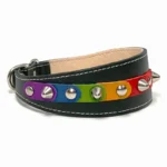 Rechte Seitenansicht des kunstvoll gefertigten “Rainbow Liberty” Leder‑Windhundhalsbands, bei dem kräftige Regenbogen‑Patches harmonisch entlang des tiefschwarzen Leders angeordnet sind. Die verjüngte Silhouette eignet sich ideal für den feinen Hals eines Whippets und bringt dieselbe lebhafte, farbenfrohe Ausstrahlung zu Französischen Bulldoggen und Border Collies.