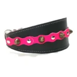Vista del lado derecho del collar de galgo de cuero negro “Glam Diva” con accesorios fucsia, pinchos redondeados color latón y tachuelas planas plateadas, ideal para razas expresivas como el Galgo Español, así como para perros de cuello delicado como el Chihuahua y el Pinscher Miniatura, que crean un contraste elegante con el estilo glamuroso del collar.