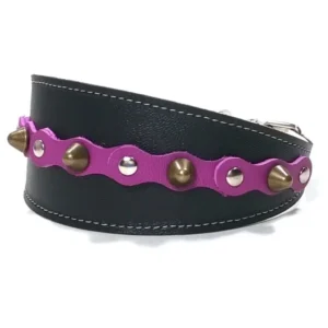 Vista del lado izquierdo del collar de galgo de cuero negro “Mystic Chic” con accesorios morados, pinchos redondeados color latón y tachuelas planas plateadas, mostrado en razas elegantes como el Whippet y el Galgo Italiano, junto a perros de cuello sensible como el Teckel, cuyo pelaje liso resalta la profundidad del tono morado.