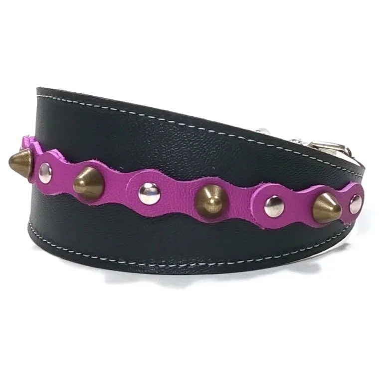 Collar de Galgo de Cuero con Pinchos Morado | Superpipapo “Mystic Chic” (Lado Izquierdo) Vista del lado izquierdo del collar de galgo de cuero negro “Mystic Chic” con accesorios morados, pinchos redondeados color latón y tachuelas planas plateadas, mostrado en razas elegantes como el Whippet y el Galgo Italiano, junto a perros de cuello sensible como el Teckel, cuyo pelaje liso resalta la profundidad del tono morado.