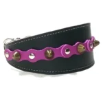 Vista del lado derecho del collar de galgo de cuero negro “Mystic Chic” con accesorios morados, pinchos redondeados color latón y tachuelas planas plateadas, ideal para razas expresivas como el Galgo Español, así como para perros de cuello delicado como el Chihuahua y el Pinscher Miniatura, cuya silueta fina crea un contraste elegante con el estilo místico del diseño.