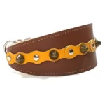 Vista del lado derecho del collar de galgo de cuero marrón “Sunny Joy” con accesorios amarillos, pinchos redondeados color latón y tachuelas plateadas, ideal para razas expresivas como el Galgo Español, así como para perros de cuello delicado como el Cavalier King Charles Spaniel y el Beagle, cuya silueta suave complementa el carácter alegre del diseño.