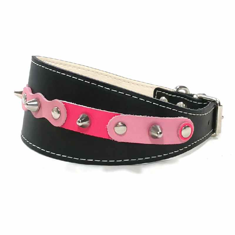 Studded Leder Windhundhalsband “Sweet Fusion” – Fuchsia Rosa – Schwarz (Linke Seite) Linke Seitenansicht des handwerklich gefertigten schwarzen “Sweet Fusion” Windhundhalsbands mit fuchsia und rosa Lederpatches und silbernen Nieten, gezeigt an beliebten Windhunden wie Whippet, Greyhound und Saluki, mit einem lebendigen und zugleich eleganten Look.