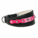 Rechte Seitenansicht des artesanal gefertigten schwarzen “Sweet Fusion” Halsbands mit fuchsia und rosa Lederpatches und silbernen Nieten, präsentiert an Windhunden wie dem Italienischen Windspiel, dem Borzoi und dem Afghanischen Windhund, für einen stilvollen und ausdrucksstarken Auftritt.