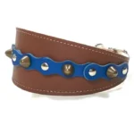 Vista del lado izquierdo del collar de galgo de cuero marrón “Deep Elegant” con detalles azul oscuro, pinchos redondeados color latón y tachuelas plateadas, mostrado en razas elegantes como el Whippet y el Galgo Italiano, junto a perros de cuello sensible como el Teckel, cuyo pelaje resalta la profundidad del azul.
