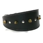 Vista derecha del collar artesanal “Earth Power” en cuero negro, adornado con pinchos metálicos delicados, presentado en razas sociables como el Pequeño Lebrel Italiano, el Beagle y el Border Collie, aportando una sensación cálida y elegante.