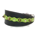 Vista lateral izquierda del collar “Forest Bold” en cuero negro con detalles verde bosque y tachuelas suaves, ideal para razas elegantes como el Galgo Italiano, el Lévrier de Sloughi y el Greyhound Inglés.