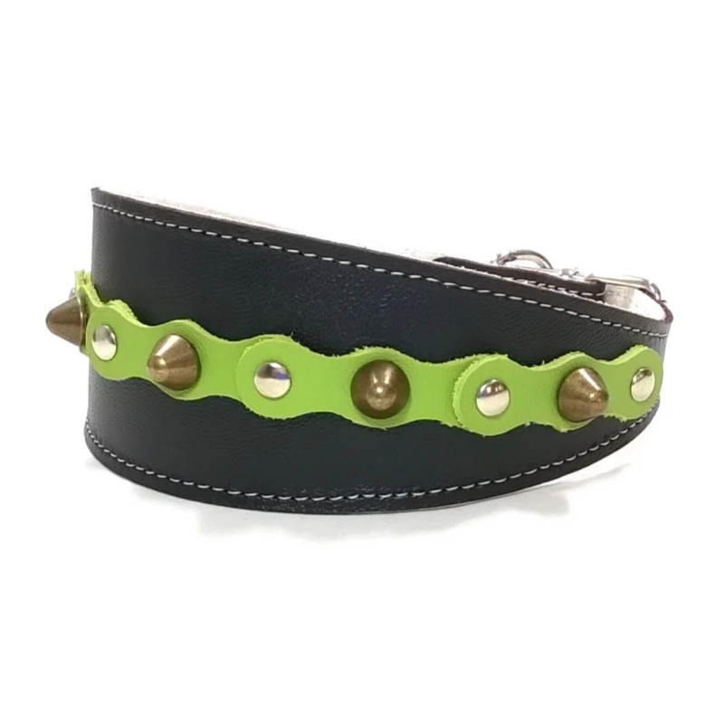 Collar de Galgo de Cuero con Tachuelas Verde “Forest Bold” – Lado Izquierdo Vista lateral izquierda del collar “Forest Bold” en cuero negro con detalles verde bosque y tachuelas suaves, ideal para razas elegantes como el Galgo Italiano, el Lévrier de Sloughi y el Greyhound Inglés.