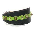 Vista lateral derecha del collar artesanal “Forest Bold” con tachuelas redondeadas y tonos verde profundo, perfecto para galgos estilizados como el Podenco Ibicenco, el Azawakh y el Magyar Agár.