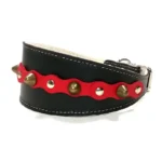 Linke Seitenansicht des roten “Hot Rebel” Windhundhalsbands aus schwarzem Leder mit abgerundeten Nieten, passend zu eleganten Rassen wie dem Galgo Español, dem Taigan und dem Sloughi.