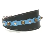 Rechte Ansicht des babyblauen “Ocean Breeze” Leder Windhund‑Halsbands mit silbernen Nieten und messingfarbenen Spikes, ideal für elegante Hunde wie Basenji, Zwergpudel, Portugiesischer Podengo Pequeno.