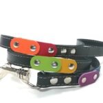 Laisse pour chien arc-en-ciel avec couleurs de liberté et clous élégantes, Design Rainbow