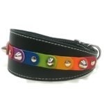 Regenboog windhond galgo halsband met de vrolijke kleuren van freedom en elegante spikes, design Rainbow