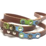 Trendy dog lead with green blue fashion pastel colours, design Spring