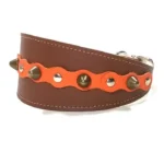Linke Ansicht des orangefarbenen “Fiery Fancy” Windhundhalsbands mit handgearbeitetem Leder und sanft abgerundeten Spikes, passend für elegante Hunde wie Whippet, Galgo und Silken Windsprite.