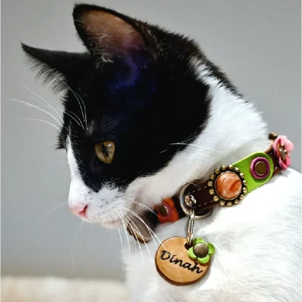 Kattenpenning Met Groene Bloem van Leer Geshowd door Kattenmodel Dinah.
