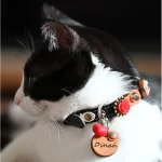 Katzenmarke mit Leder Orange Dot Gezeigt Durch Katzenmodell Dinah.