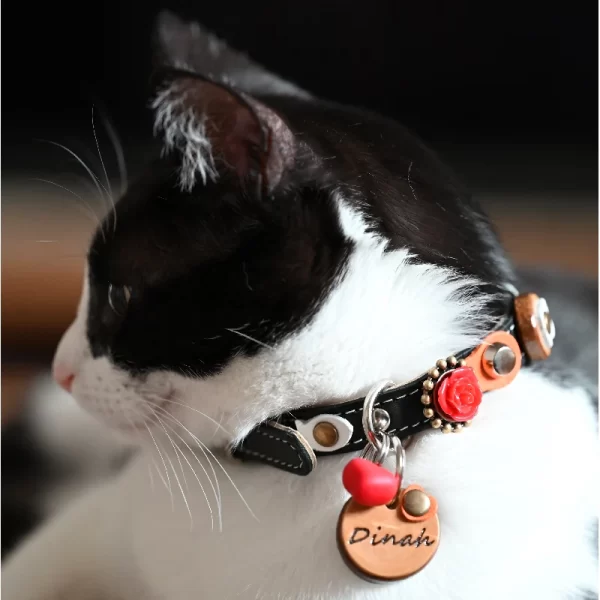 Kattenpenning Met Oranje Dot van Leer Geshowd door Kattenmodel Dinah.