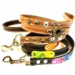 Correa para perro de cuero hecha a medida a juego con el resto de tu pedido, Diseño Combi