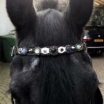 Exclusiva Frontalera Caballo Personalizada Hecha a Mano