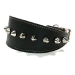 Left‑side view of the handmade black leather “Punk” greyhound collar with silver spikes, shown on friendly, elegant breeds such as the Whippet, Saluki, and Cavalier King Charles Spaniel, highlighting its bold yet refined artisanal style.