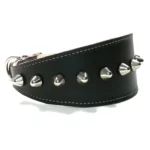 Right‑side view of the artisan black leather “Punk” greyhound collar featuring polished silver spikes, presented on sociable dogs like the Italian Greyhound, Beagle, and Border Collie, giving the design a confident but friendly look.