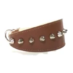 Right‑side view of the artisan brown leather “Punk” greyhound collar decorated with sleek silver spikes, shown on friendly dogs like the Labrador Retriever, Vizsla, and Flat‑Coated Retriever, reinforcing its bold yet approachable style.