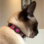 Schattig en lief kattenhalsbandje met veiligheidsluiting, versierd met luxe roze, fuchsia en paarse steentjes en leren bloemetjes, geshowd door zwart witte kat.