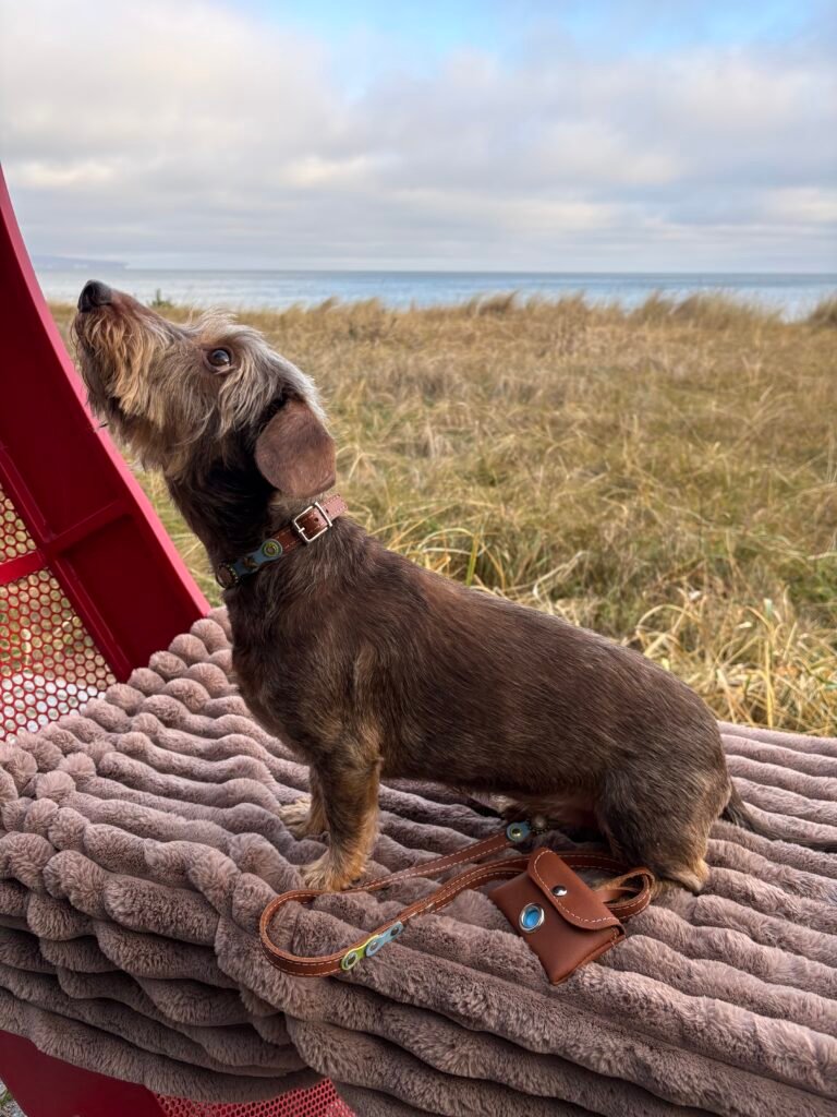 Afbeelding #1 van Jeannette B.