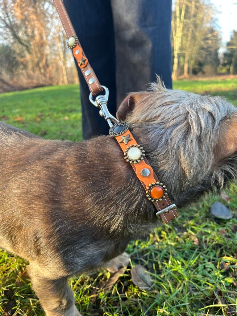 Afbeelding #1 van Jeannette B.