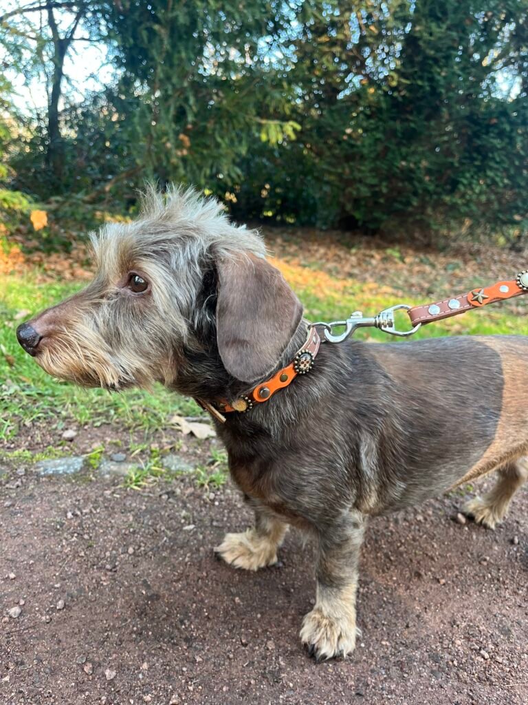 Afbeelding #1 van Jeannette B.