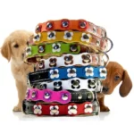 Collier Floral pour Petit Chien avec Cuir Coloré & Fleurs Assorties – “Flower Power”