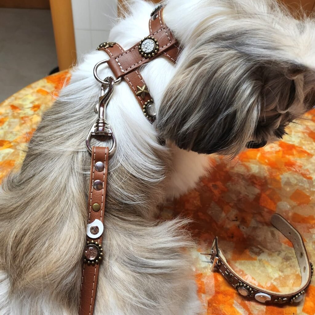 Instagram post from superpipapo. This post is in position 4.
