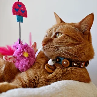 Instagram post from superpipapo. This post is in position 9.