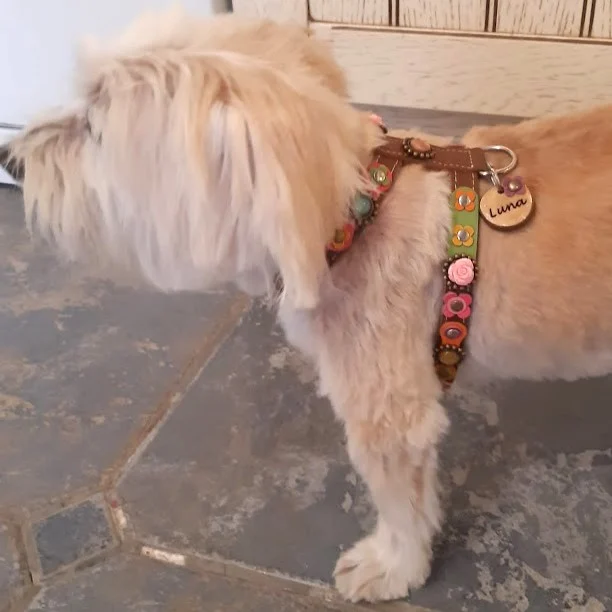 Instagram post from superpipapo. This post is in position 1.