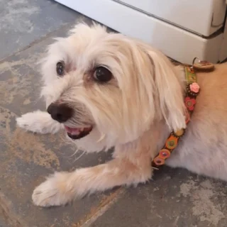 Instagram post from superpipapo. This post is in position 13.