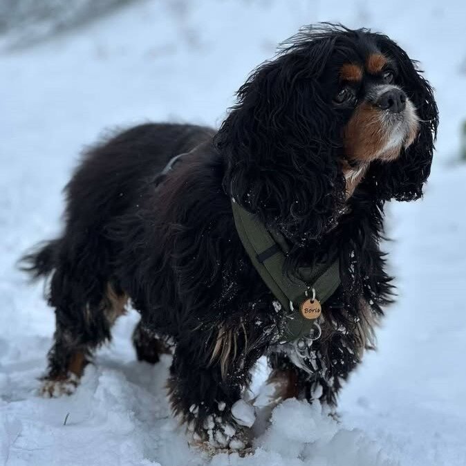 Instagram post from superpipapo. This post is in position 1.