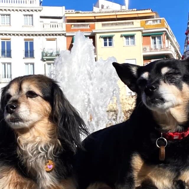 Instagram post from superpipapo. This post is in position 11.