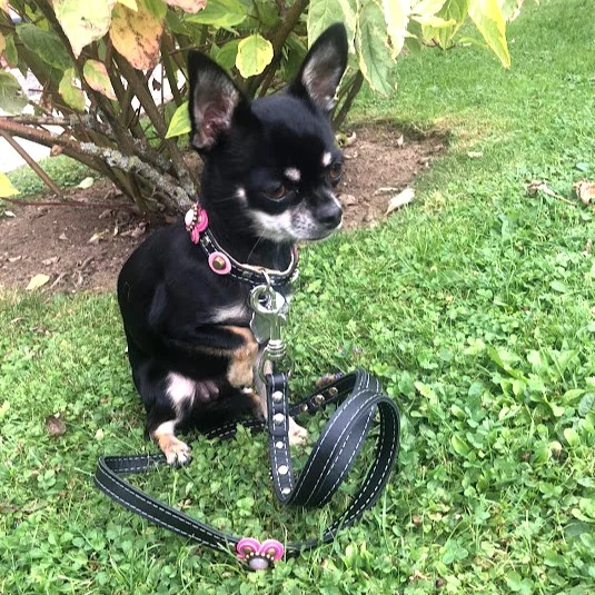 Instagram post from superpipapo. This post is in position 1.