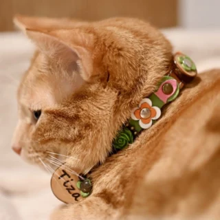 Instagram post from superpipapo. This post is in position 16.